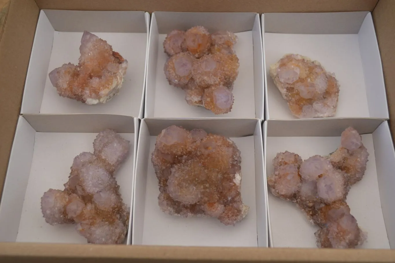 Natural Spirit Ametrine Quartz Clusters x 6 From Boekenhouthoek, South Africa