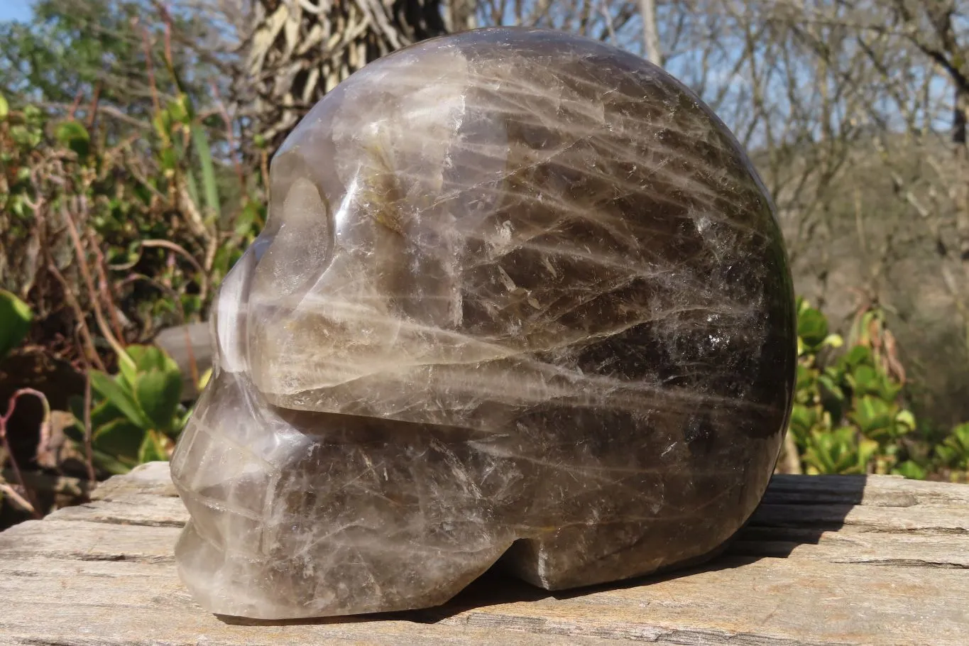 Polished Large Smokey Quartz Skull Carving  x 1 From Madagascar