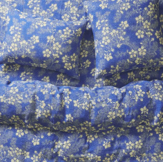 Salina Lapis Euro Pillowcase Set